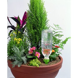 Seiei 20011 5P Random Absorbent Cap