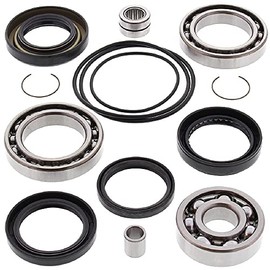 All Balls 25-2010 Rear Differential Bearing and Seal Kit, Red