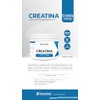 Creatina Monohidrato 100 pura Libre de azucares Libre de gluten