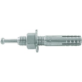 TRUSCO C-1060BT All Anchor C Type M10 x 60 Pack of 10