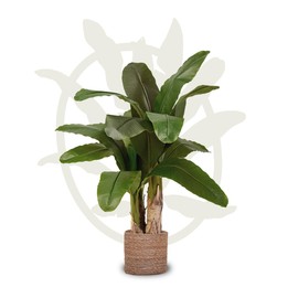 Maia Shop Artificial Banana Tree 4FT Tall, Fake Plant with Realistic Leaves and Trunks, Faux Silk Plant Made with The Best Materials, Artificial Plant for Home Decor Indoor, Tropical Decor, 47 inches