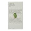 Love Tea Peppermint Pyramid Tea Bags, 20 Tea Bags