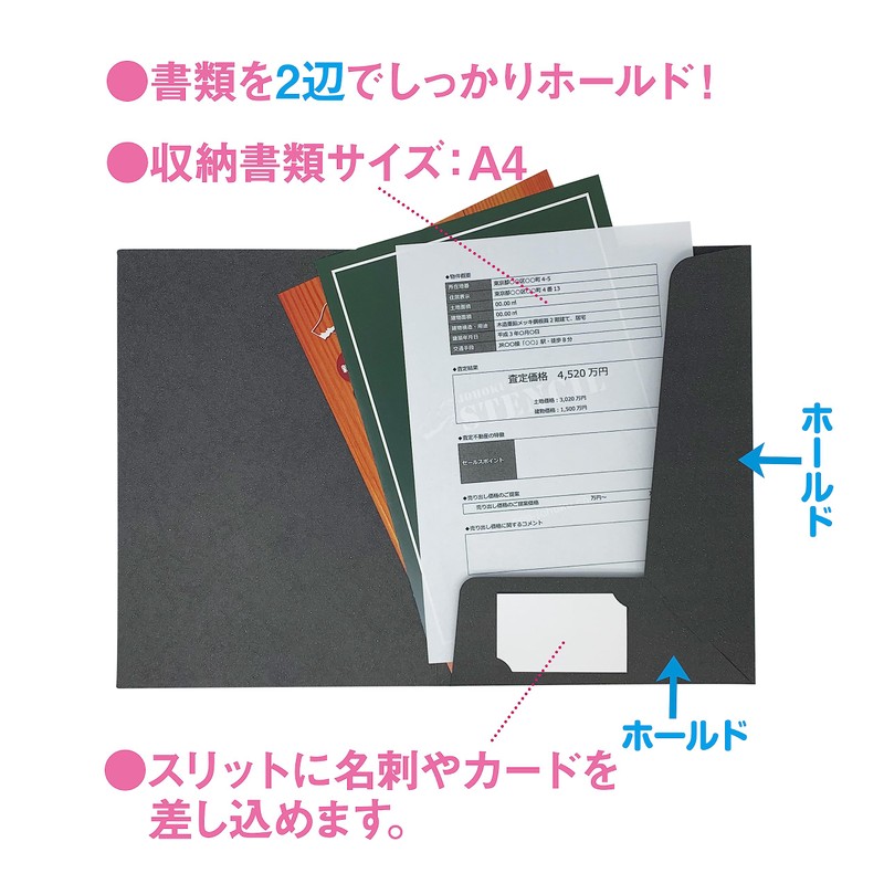 A4 Craft (Black), Pocket File, Business Card Slit, Pack of