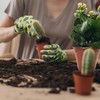 100 Packs 8" Plant Nursery Pots Plastic Seedling Starter pot