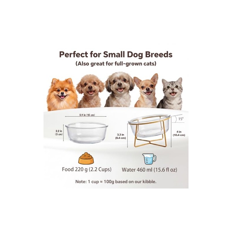 Cuenco pequeño de cristal inclinado elevado para gatos y perros