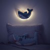 Stephen Joseph Night Light, Shark