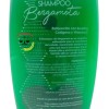 Ives Mexico - Ives Evolution Shampoo Bergamota Coco Hamamelis Romero
