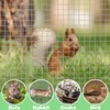 Vole Mesh 20 cm x 6 m, Aviary Wire for