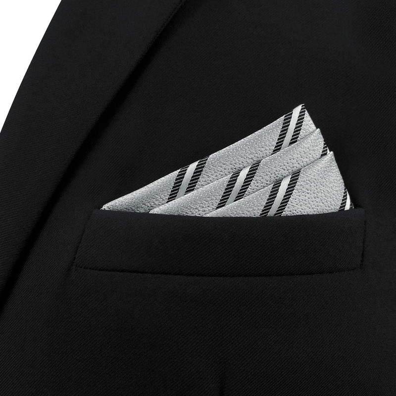 S&W SHLAX&WING Striped Men's Ties Grey with Silver Black Stripes