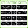 Chunful 20 Pcs Animal X-Ray Kit Wildlife X-Ray Flash Cards