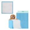 40 Piezas 60*60cm Tapete Entrenador Perro Azul