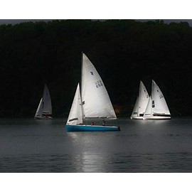 Batie Sailboats Wall Decal 48"x60"
