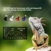 Reptile Heat Mat Thermostat for Reptiles Heating Pad，Thermostat, Digital Thermostat