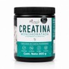 PACALLI Creatina Monohidratada 300g - Sin Sabor - 60 Porciones