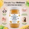 Wildcrafted Irish Sea Moss Gel – All-Natural Pineapple Flavored Sea