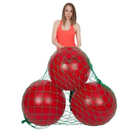 Ball Net for 3 Gymnastics Balls Storage Aid Transport Bag Hanging Green