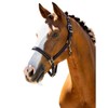 LeMieux Essential Yard Headcollar - Tough & Durable Nylon Webbing