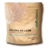 Extracto Hongo Melena De León Orgánico Polvo 100g Adaptogeno Sabor