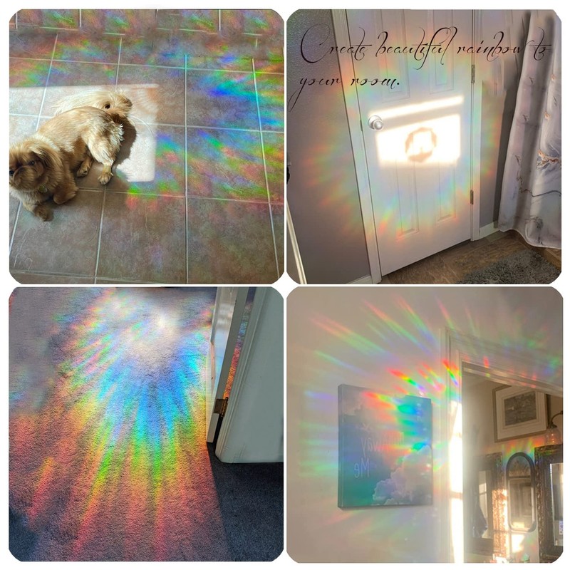 Tiz Tlloz 猫 バタフライ 衝突防止 ウィンドウクリング - ガラスアラートプリズムデカール - 鳥の衝突防止