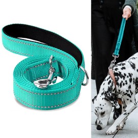 Padded Handle Dog Lead, Double-Sided Reflective Nylon Leads for Training, Walking Leash for Small, Medium Dogs