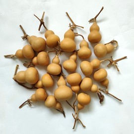 GHY Decor Natural Dry Gourd Bottle Gourd Cucurbit Mini Cute Dried Gourd Bottle Natural Gourd Ornament Adornment Decorative Gourd Practical Desktop Decor Original Dry Gourd DIY Crafts (15 pcs)