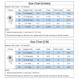 Toddler Baby Big Sister Brother Tracksuit Outfit Girls Boys Little Sis Bro Matching Pants Set Sweatshirt + Sweatpants Clothes (3-4 Years, A-BIG BRO)