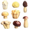 8PCS Mini Mushroom Resin Figurines, Realistic Mushrooms Resin Ornaments, Cute
