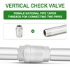 TAISHER 1PCS 304 Stainless Steel 2" Female Vertical Check Valve，Backflow