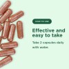 Yuve Arroz Rojo Levadura 1200mg Con Coq10 120 Caps