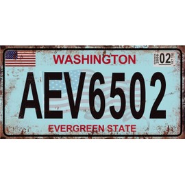 - Se of 5 USA car Registration Plates in Metal, with Aged Effect - replicas of Real American Plates (Old2)