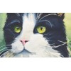black and white tuxedo cat giclee print of my original