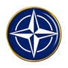 Nato Badge, gold