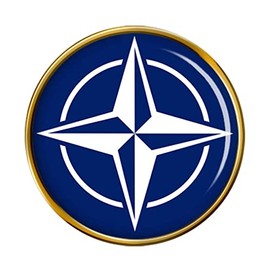 Nato Badge, gold