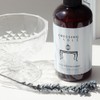Strong cleansing power, first skin shampoo, oily scalp, beauty salon,
