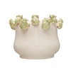 Creative Co-Op Stoneware Planter with Frogs on Rim and Reactive