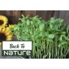 Back To Nature Seed Company Sunflower Microgreen Seeds For Sprouting
