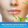 Mentholatum Natural Ice Lip Balm Original SPF 15 1 Each