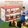 Nesting Boxes for Chickens, 6 Compartment Forward RollOut & Rollaway,