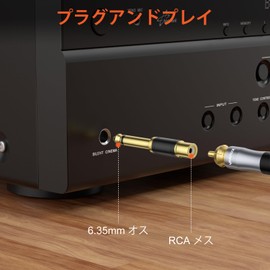 VANAUX 6.35mm Male to RCA Female Converter Adapter 6.35mm Mono Gold Plated Connectors 2pcs - Black
