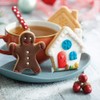 DECORA 0255094 Gingerbread Man & House Plastic Cutters 2-Piece