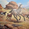 Orren Mixer The Appaloosa Horse Postcard Blank Back 4.25 x