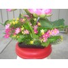 Plastic Artificial Lotus Flower with Black Square Procelain Pot
