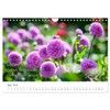 Dahlien Poesie (Wandkalender 2026 DIN A4 quer), CALVENDO Monatskalender: Dahlien