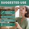 Gotas líquidas de moringa, suplementos de moringa pura con cúrcuma,