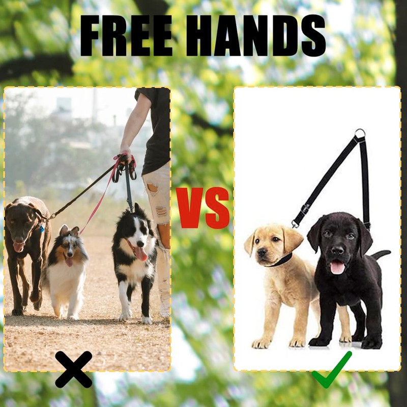 2 Pcs Double Pet Trainer Lead Double Dog Distributor Lead