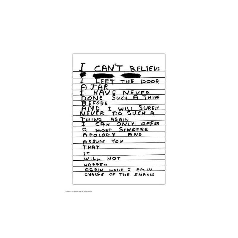 Funny Humorous 'David Shrigley Door Ajar' Novelty Postcard