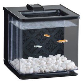 Gex Aquarium Easy Aqua, Black, Easy to Change Water, Compact Aquarium Plant Breeding (W x D x H): 6.3 x 6.7 x 6.3 inches (16 x 17 x 16 cm), Approx. 0.7 gal (2.1 L)