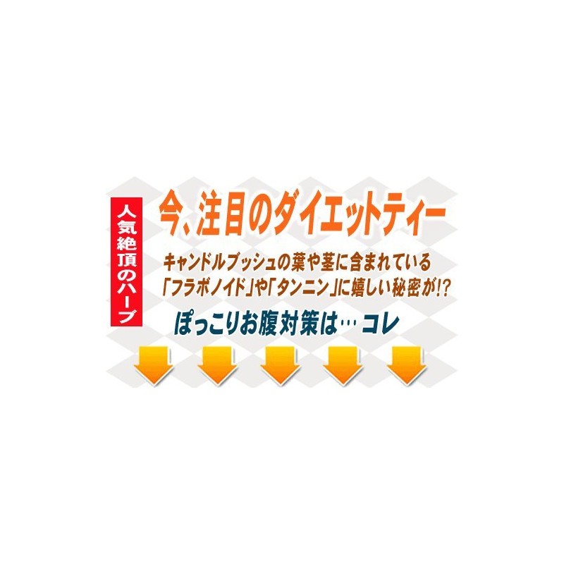森のこかげ キャンドルブッシュ (2g×70p 内容量変更) (残留農薬検査済) ゴールデンキャンドル ハナセンナ ハーブTB