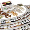 Heirloom Seeds for Planting Vegetables and Fruits - Survival Essentials