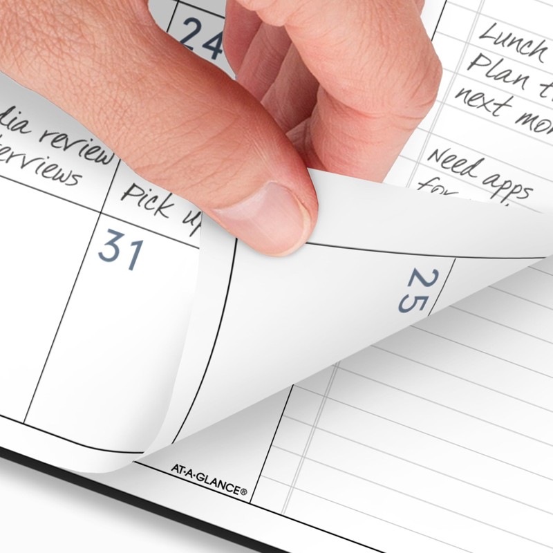 AT-A-GLANCE 2026 Planner, Monthly, 9" x 11", Large, Contemporary Lite,